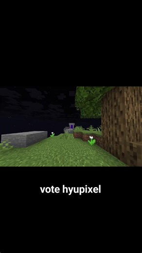the reason. #hypixel #skyblock #skytok #minecraft #fyp