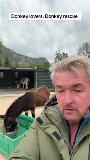 Donkey Rescue Insights: Life and Logistics Challenges