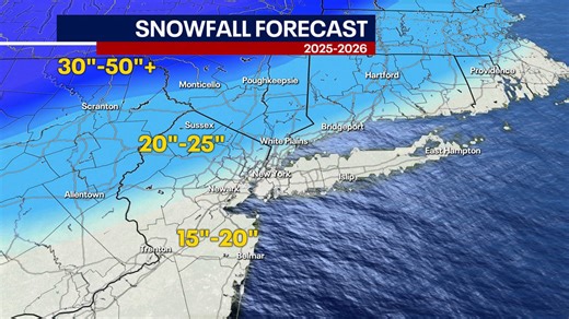 NYC winter outlook 2025-2026: Snow total predictions, when the 1st flakes might fall