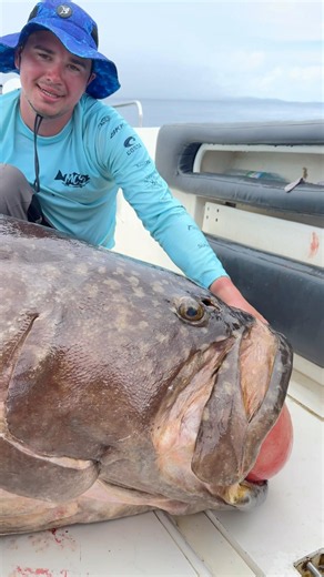A true giant of the seas at over 2 meters and 400lb +! See description for full information