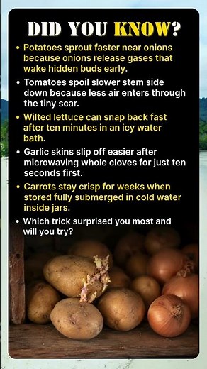 Kitchen Mistakes Spoiling Your Food
