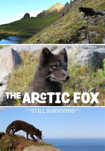 Arctic Fox (2015)