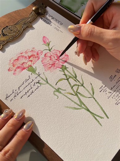 How to Draw Beautiful Flowers with Watercolor