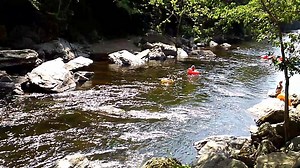 4K views · 23 reactions | Current water flow 2nd set of rapids | Farmington River Tubing | Facebook