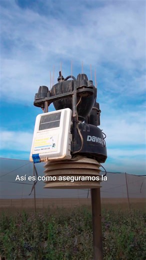 Fundo Azul on TikTok