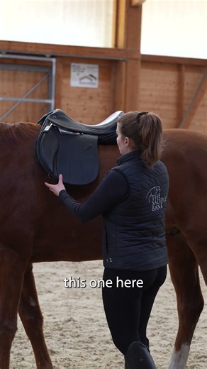 How do you know if your saddle is too narrow for your horse? 🤔🐎
