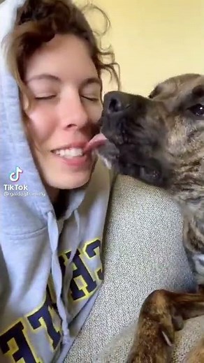 Dog loves kissing girl