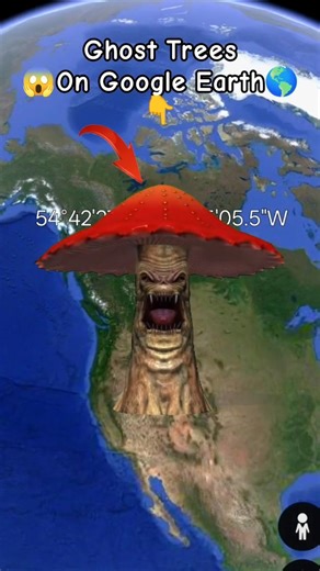 Ghost Trees 😶‍🌫️😱 on google maps and google earth 🌎 #shots #datachampion