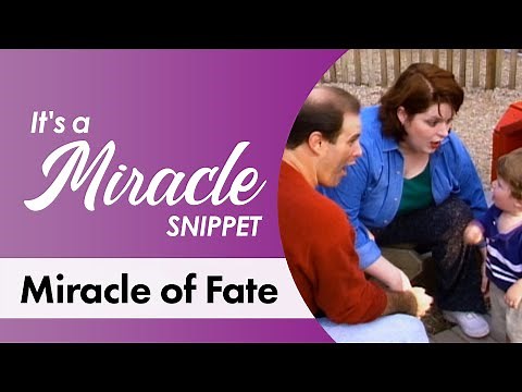 Miracle of Fate - It's a Miracle