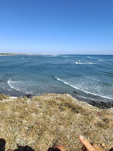 2.5K views · 98 reactions | BSM BEACH PARTY! | Richard Spindler | Facebook