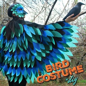 236 reactions · 80 shares | From the archives....Bird Costume DIY! | Mark Montano | Facebook