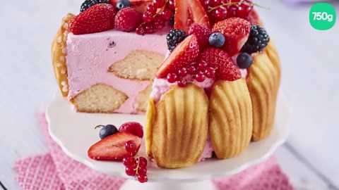 Charlotte de Madeleines & mousse de fruits rouges