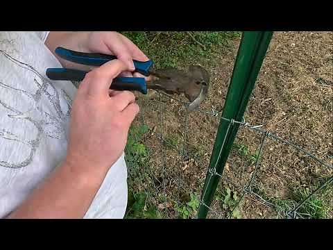 Attaching Fence to Metal T Posts Two Methods