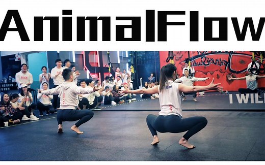 【Animal Flow 动物流 Level 1】全教程演示
