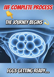 Witness the complete IVF journey in a clean 3D medical animation — from eggs getting ready to fertilization, embryo development, and implantation. A miracle of science, explained in the simplest and safest way. ✨ This video is for learning and awareness only.” #medicalanimation #ivf #ivfjourney #ivfwarrior #healtheducation