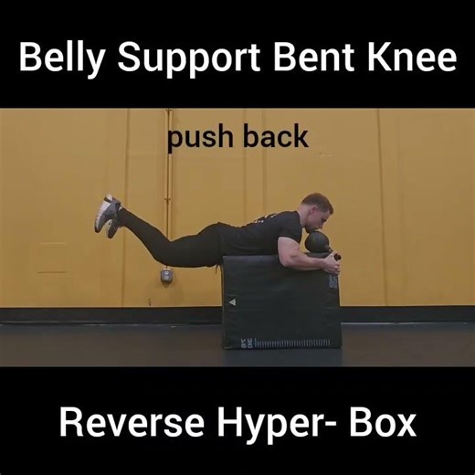 Belly Support Bent Knee Reverse Hyper- Box