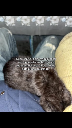 ️ (@xrelaxcs)’s videos with Originalton - .