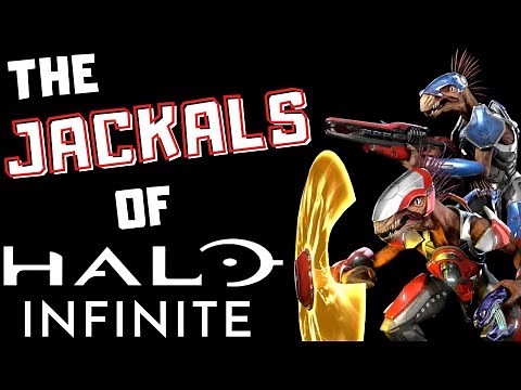 Halo Infinite Jackal Breakdown