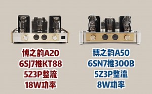 【钱伯斯玩音响】两支风格迥异的电子管比较试听，KT88和300B单端