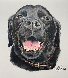 Pet Portrait in Soft Pastels - Etsy UK