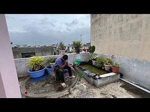 Female Beta Fish Ki Treatment Start Kar Di