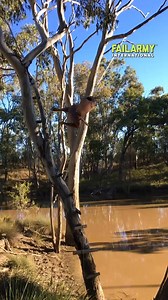 14K views · 42 reactions | This is why I have (rope) attachment issues  #ropeswing #zipline #fail #funny #failarmy #fblifestyle | FailArmy 2.0 | Facebook