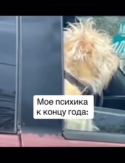 Моя психика к концу года