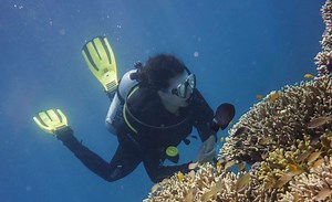 Deadly Sea Snail Toxin Could be Key to Making Better Medicines