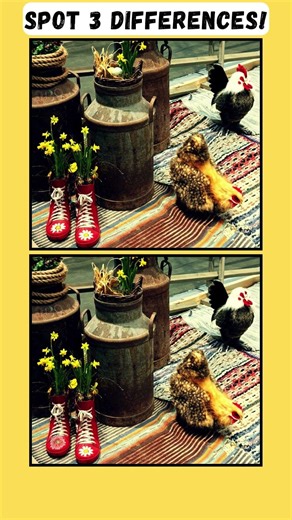 Can You Beat This Easter Spot The Differences?🐣