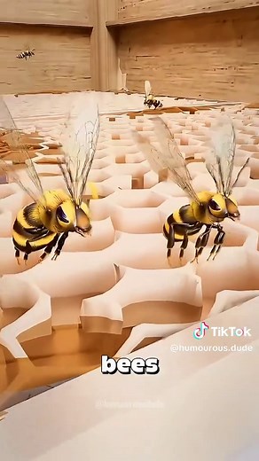 Why Do Honeybees Survive After Stinging? Insights & Facts
