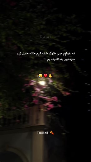 Exploring the Diversity of Afghanistan and Its Cultures