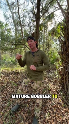 Build A Perfect Turkey Blind