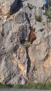 159K views · 2.1K reactions | I didn't know that Winnie the pooh was such a good climber!  | I love climbing | Facebook