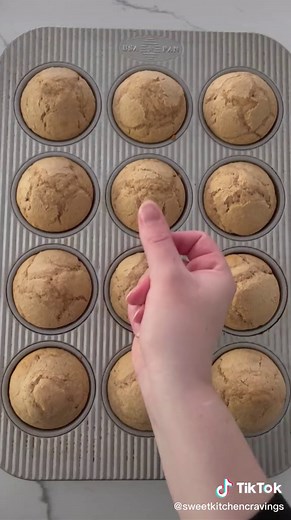 Delicious Cinnamon Sugar Donut Muffins Recipe