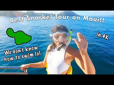 Maui Snorkeling Molokini & Turtle Town with Malalo 4K