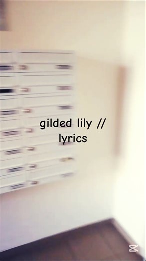 ☆ gilded lily // lyrics ☆