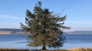 WEATHER: Your latest local forecast