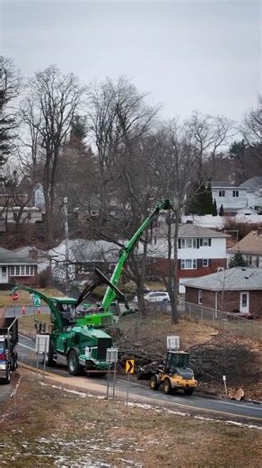 Sennebogen Tree Care Division on Instagram: "If you want to scale up, you chase roadside projects. If you want to win roadside projects, you invest in the Sennebogen Albach platform. #treework #sennebogen #heavyequipment #albach #equipment"