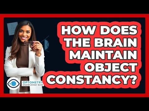 How Does The Brain Maintain Object Constancy?