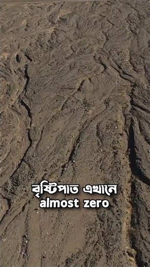 নদীহীন মরুভূমি জীবন | Survival in the Arabian Desert
