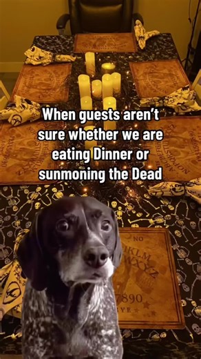 Creative Halloween Decor Ideas to Transform Your Home