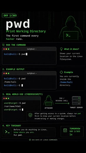pwd: The First Command Every Hacker Runs (Day 1/365)#Linux #EthicalHacking #cybersecurity
