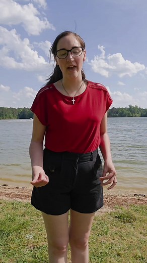 321K views · 8.4K reactions | Largest Amish population by state! Which state has the most Amish? Where do Amish live? Where did they Amish first settle in the US? Are there Amish in NYC? #amish #population #pennsylvania #ohio #indiana #wisconsin #michigan #florida #iowa #newyorkcity #nyc #kentucky #missouri | The Amish Way | Facebook