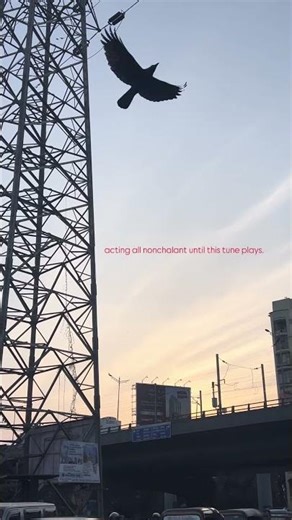 true. #shorts #viralshorts #trending #song