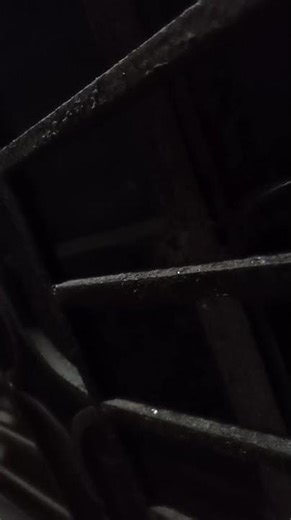 The howl of a fox near the house🦊