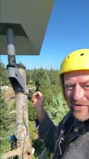Tree-mounted Starlink installation