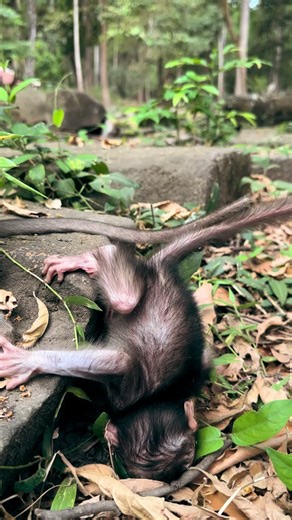 Avery loves to explore! ✨💫