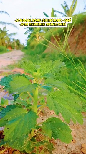 77K views · 217 reactions | Ini dia jam terbaik skincare #tips #tipscantik #kecantikan #tipsandtricks #tutorial | TIPS Mama Zafran | Facebook