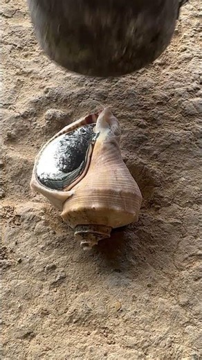 Scrap metal to beautiful snail shell 🐌 #recycling #art #shorts