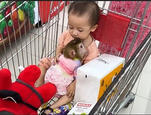 Million surprised monkey Kaka hug baby Diem on trolley visit super market with family | Genius Kaka